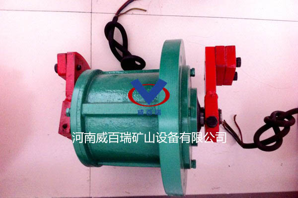 立式振動(dòng)電機(jī).JPG